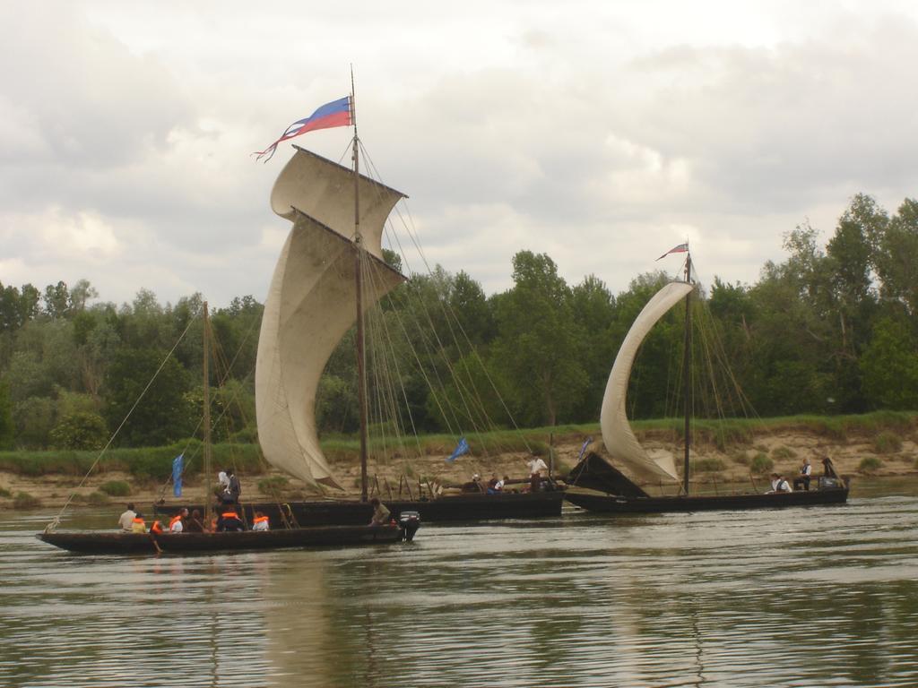 Apartament Les Bords De Loire Veuves Pokój zdjęcie