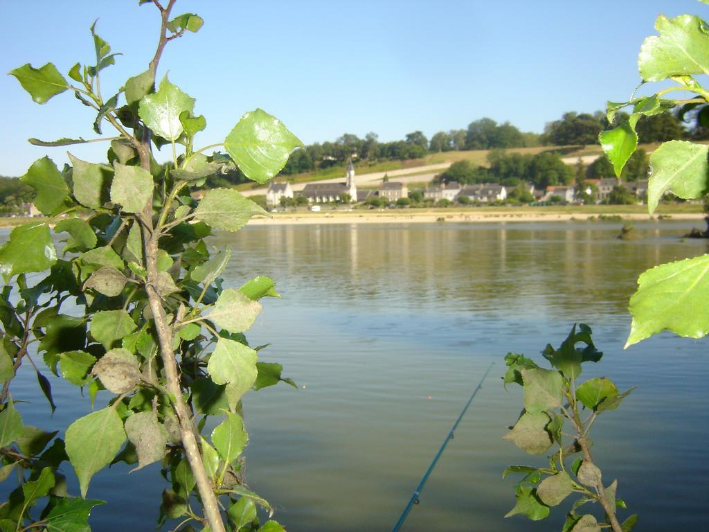 Apartament Les Bords De Loire Veuves Pokój zdjęcie