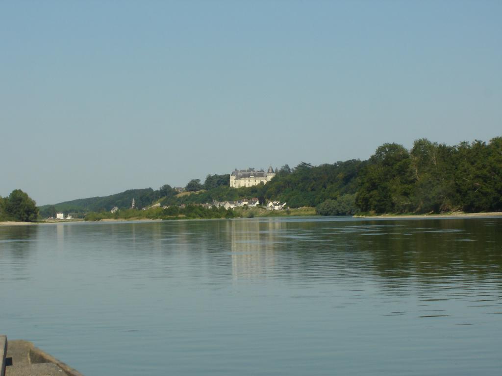 Apartament Les Bords De Loire Veuves Pokój zdjęcie