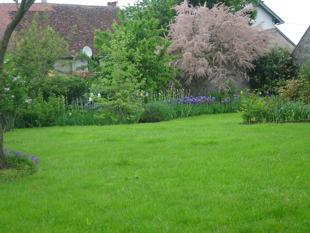 Apartament Les Bords De Loire Veuves Pokój zdjęcie