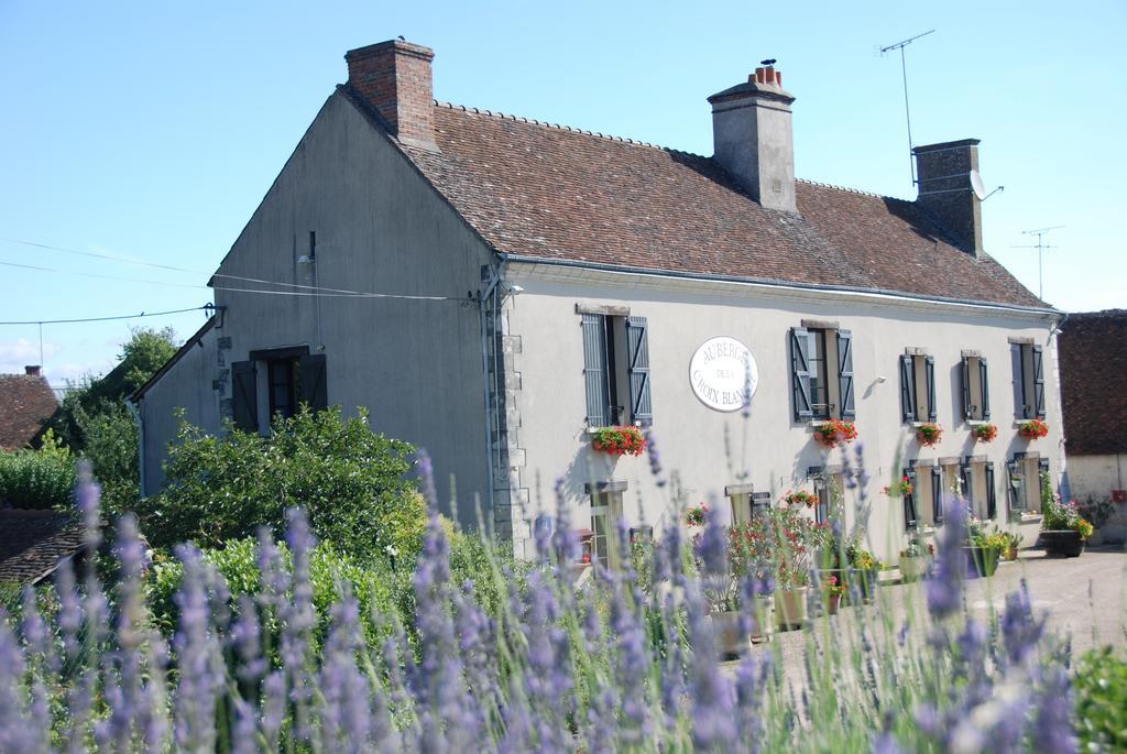 Apartament Les Bords De Loire Veuves Pokój zdjęcie